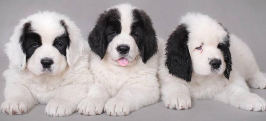 ��Ȯ��ë�ڿ��Գ���ë������Ȯ����ë�ۻ�