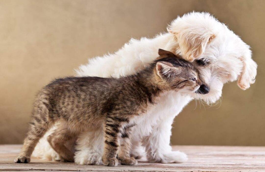 ��������ذ����һ��