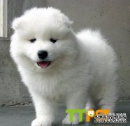 �ȵ���������������ҵ����������