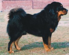 ����ʲôʱ�򲹸�