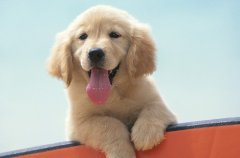 ���ܸ�к��ô��