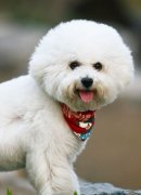 �������ӱ����ô��