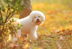 ���ܳ�θ������ô��