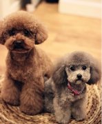 ̩��ëɫǳ��ô��