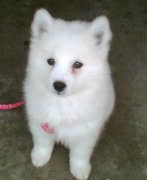 �������ë������ô��