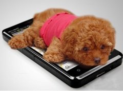 һ���´��̩�ϳ�ʲô