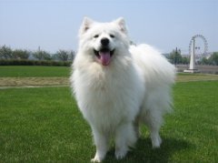 ��Ħ��ë��ô��