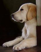 ��ë��ʲô��ë