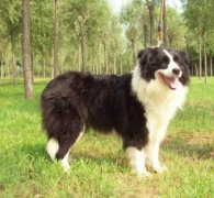 ������ë������ô��