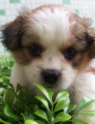 ��ô����ι������