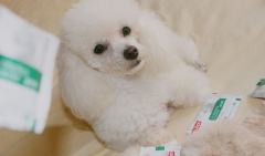 �����»�ˮ��ô����