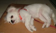 ����������Ż����ô��