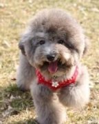 ����Ż�²��Թ�����ô��