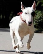 �����»�ˮ��ô����