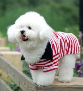 �����������ô��