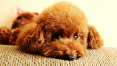 ��������θ����ô��