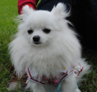 ������ʺ�ܶ���ô��