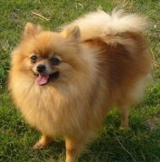 �����������ô��