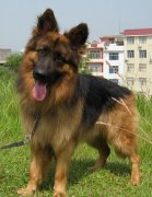 ������θ����������ô����