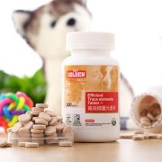 ��ĦҮΪʲô��ʺ��