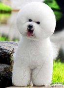 ����Ϊʲô���Լ��ı�㣿