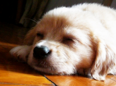 ���������������ô��