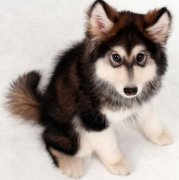 ���ܵ���Ƥ������ô��