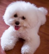 ĸ���������ʲô��