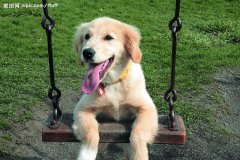 ����չ˹����ĳ�θ��