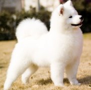 ��ĦҮëɫ������ô��