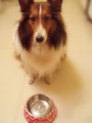 �������Ͳ���ô��