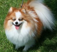 ����ʺ��ô��