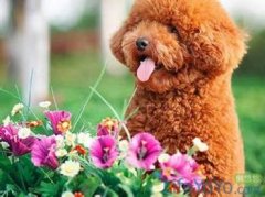 ��������θ������ô�죿��ͼ��