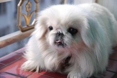 ������ϡ����Щע�������ͼ��