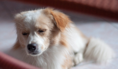 ��������ӹĹ���ô���£�ͼ��