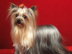 �ն��̵�Լ������Ȯ��ô������ͼ��