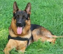 ����ȱ�Ƴ�ʲô��