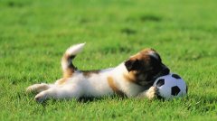 ������ʳ��ô����