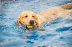 ��ë�ڳ���ô�죿��ͼ��