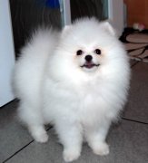 ������������ô�죨ͼ��