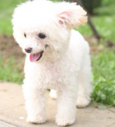 �����������ǲ���ô��