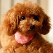 ̩�ϵ���ɫ��ô���ͼ��