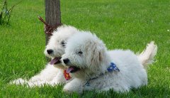 ���������Ӳ��Է���ô�죿