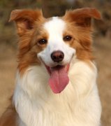 ��������������ô�죿