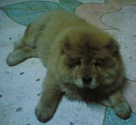 �������Լ��ı����ô�죿