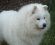 ������ô���ƣ�