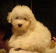 ����������ô��(��ͼ)