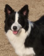 ��ô����������ά���أ���ͼ��