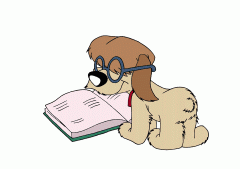 �������Լ�����ʺ��ô�죿