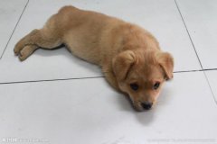 ������������ôι������ͼ��